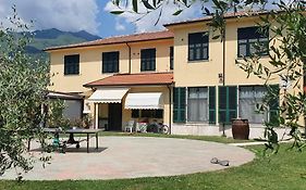 Il Capriolo